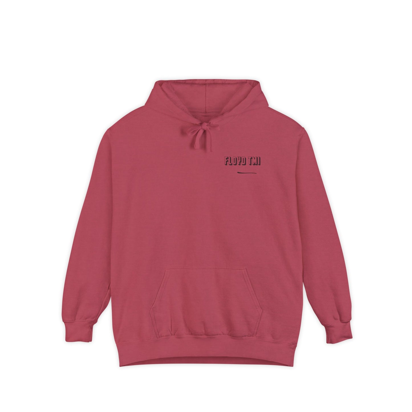 Floyd TMI - YOU HAVE NO IDEA - Hoodie
