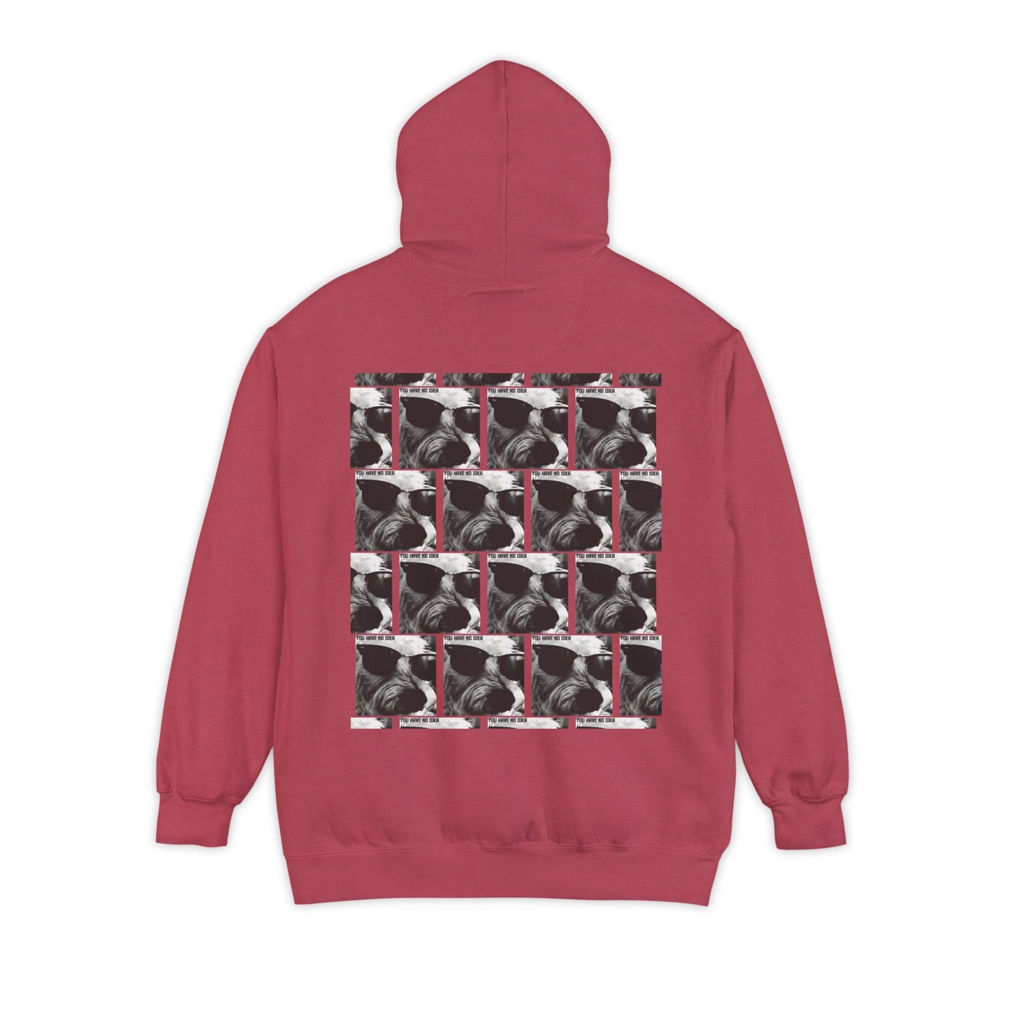 Floyd TMI - YOU HAVE NO IDEA - Hoodie